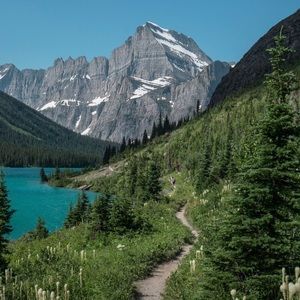 Meet your Posher, Treyton